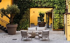 Agave In Centrale